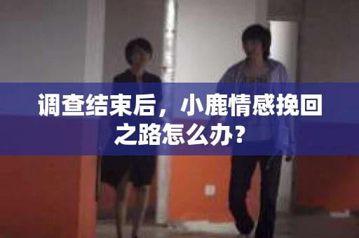 调查结束后，小鹿情感挽回之路怎么办？