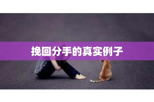 挽回分手的真实例子