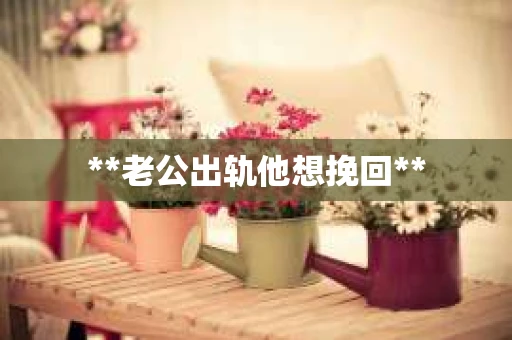 **老公出轨他想挽回**