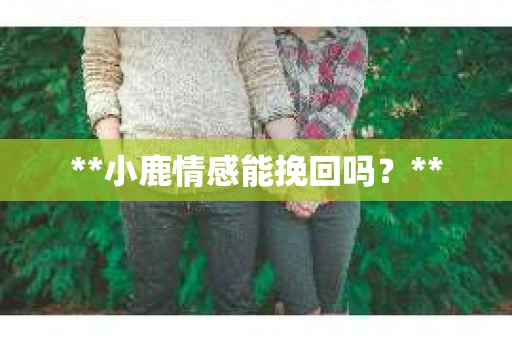 **小鹿情感能挽回吗？**