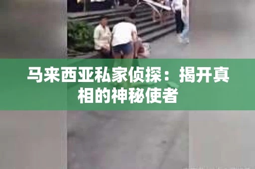 马来西亚私家侦探：揭开真相的神秘使者