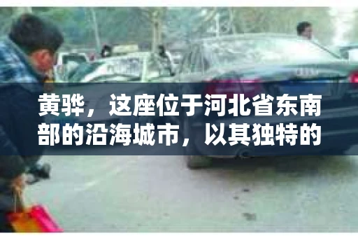 黄骅,这座位于河北省东南部的沿海城市,以其独特的地理位置和丰富的历史文化而闻名。然而,在这座城市中,还有一群人,他们以另一种方式默默守护着社会的公平与正义——私家侦探。今天,我们就来聊聊黄骅的私家侦探,看看他们是如何在这个城市中发挥作用的。 黄骅,这座位于河北省东南部的沿海城市,以其独特的地理位置和丰富的历史文化而闻名。然而,在这座城市中,还有一群人,他们以另一种方式默默守护着社会的公平与正义——私家侦探。今天,我们就来聊聊黄骅的私家侦探,看看他们是如何在这个城市中发挥作用的。