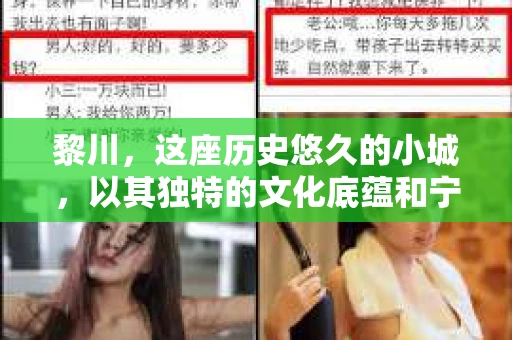 黎川，这座历史悠久的小城，以其独特的文化底蕴和宁静的生活节奏吸引着无数游客。然而，在这样一个看似平静的城市里，你是否会好奇，有没有私家侦探机构的存在呢？今天，就让我带你一探究竟。
