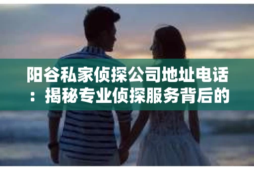 阳谷私家侦探公司地址电话：揭秘专业侦探服务背后的故事