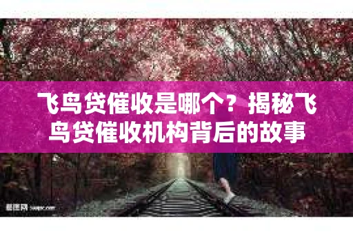 飞鸟贷催收是哪个？揭秘飞鸟贷催收机构背后的故事