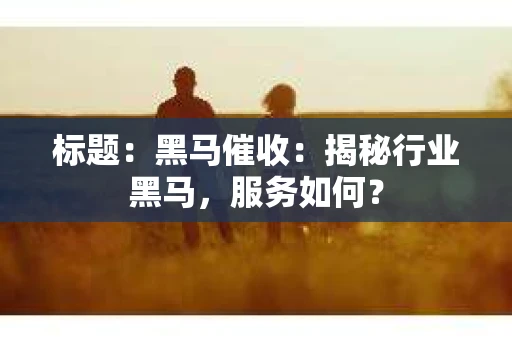 标题：黑马催收：揭秘行业黑马，服务如何？