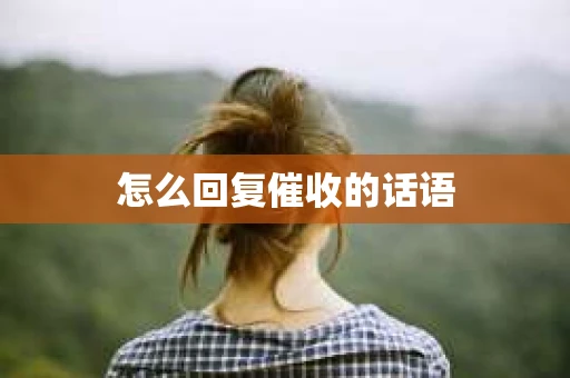 怎么回复催收的话语