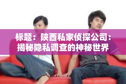标题：陕西私家侦探公司：揭秘隐私调查的神秘世界