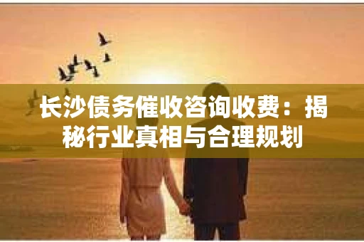 长沙债务催收咨询收费：揭秘行业真相与合理规划
