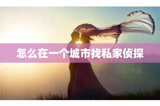 怎么在一个城市找私家侦探