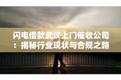 闪电借款武汉上门催收公司：揭秘行业现状与合规之路