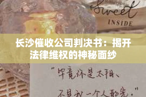 长沙催收公司判决书：揭开法律维权的神秘面纱