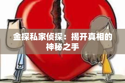 金探私家侦探：揭开真相的神秘之手
