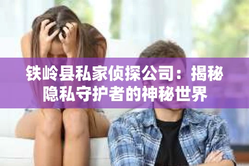 铁岭县私家侦探公司：揭秘隐私守护者的神秘世界