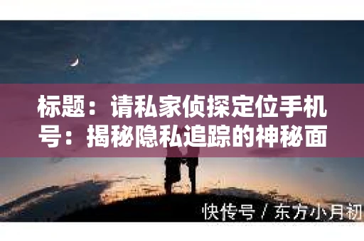 标题：请私家侦探定位手机号：揭秘隐私追踪的神秘面纱