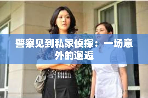 警察见到私家侦探：一场意外的邂逅