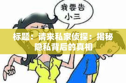 标题:请来私家侦探:揭秘隐私背后的真相 标题:请来私家侦探:揭秘隐私背后的真相
