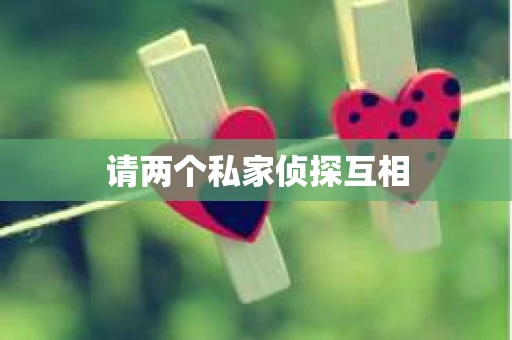 请两个私家侦探互相