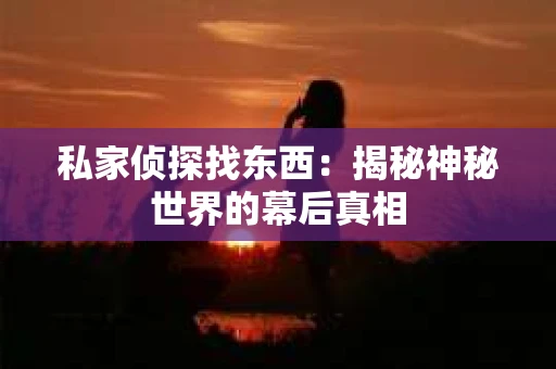 私家侦探找东西：揭秘神秘世界的幕后真相
