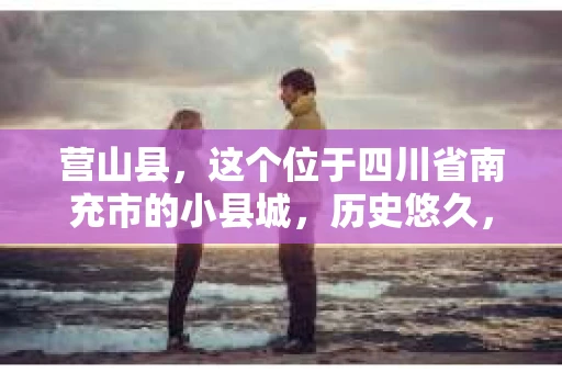 营山县，这个位于四川省南充市的小县城，历史悠久，风景秀丽。但在这个宁静的小县城里，你是否会好奇，有没有私家侦探的存在呢？今天，我就来和大家聊聊这个话题。