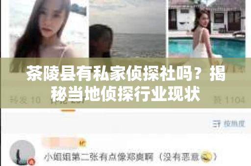 茶陵县有私家侦探社吗？揭秘当地侦探行业现状