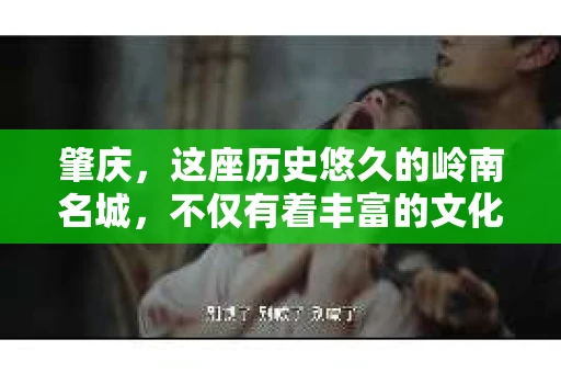 肇庆，这座历史悠久的岭南名城，不仅有着丰富的文化遗产，还有着独特的现代生活节奏。在这个城市里，你是否曾有过需要帮助解决一些棘手问题的时候？或许，你听说过肇庆有私家侦探，那么，他们究竟是怎样的存在呢？