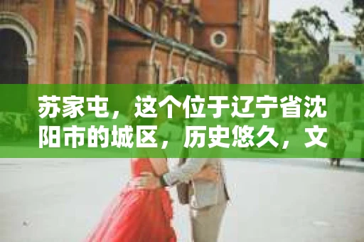 苏家屯，这个位于辽宁省沈阳市的城区，历史悠久，文化底蕴深厚。近年来，随着社会的发展，人们对于私家侦探的需求也逐渐增加。那么，苏家屯有私家侦探吗？今天，我们就来聊聊这个话题。
