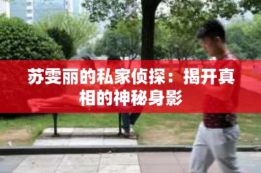 苏雯丽的私家侦探：揭开真相的神秘身影