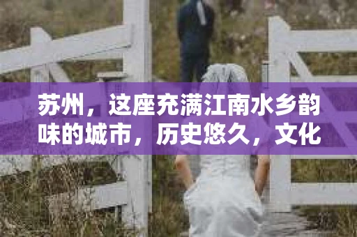苏州，这座充满江南水乡韵味的城市，历史悠久，文化底蕴深厚。在这样一个充满故事的地方，私家侦探公司自然也不少。那么，苏州哪有私家侦探公司呢？今天，我就来给大家盘点一下。