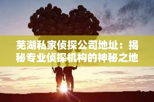 芜湖私家侦探公司地址：揭秘专业侦探机构的神秘之地