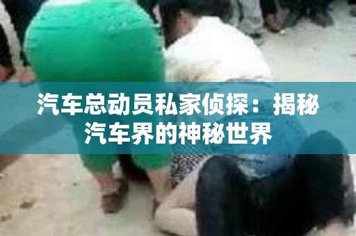 汽车总动员私家侦探：揭秘汽车界的神秘世界