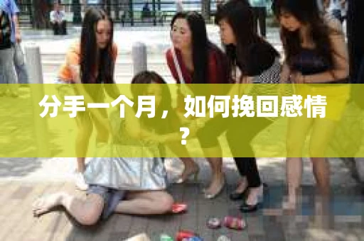 分手一个月,如何挽回感情? 分手一个月,如何挽回感情?