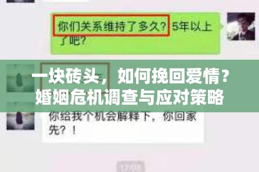 一块砖头，如何挽回爱情？婚姻危机调查与应对策略