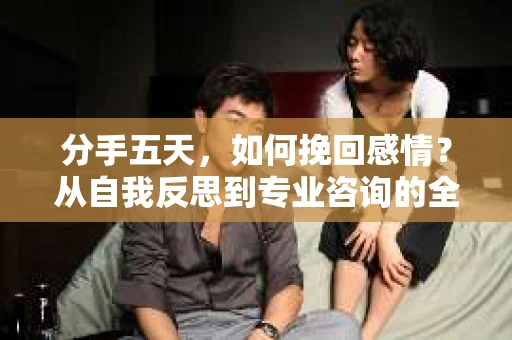分手五天，如何挽回感情？从自我反思到专业咨询的全面解决方案