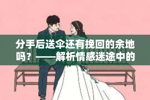 分手后送伞还有挽回的余地吗？——解析情感迷途中的决策