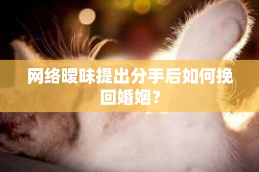 网络暧昧提出分手后如何挽回婚姻？