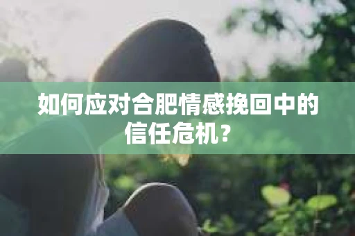 如何应对合肥情感挽回中的信任危机？