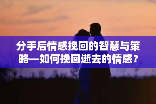 分手后情感挽回的智慧与策略—如何挽回逝去的情感？